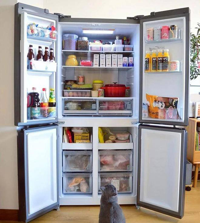 How to deal with the daily electricity consumption and power outage of the refrigerator