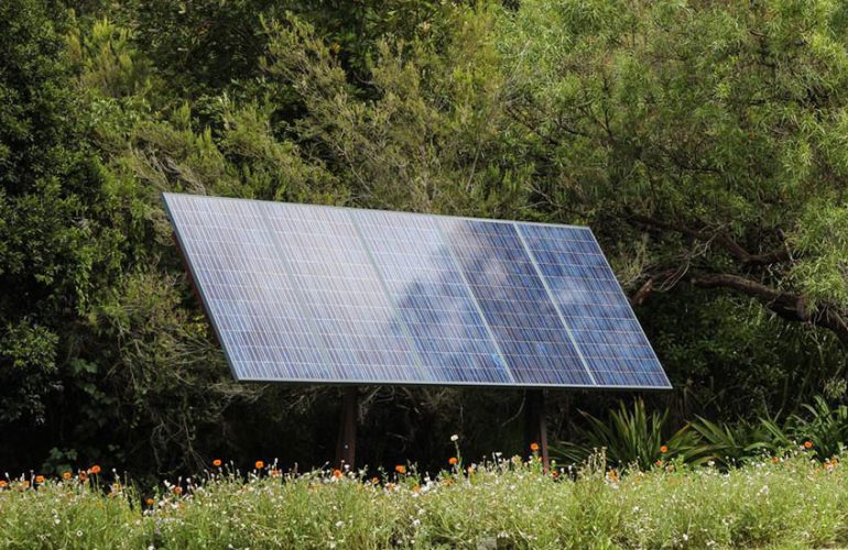 WILL TREES AFFECT MY SOLAR PANELS? - SONECPOWER