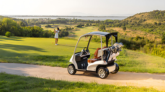 What Is the Best Battery Charger for a Golf Cart? - SONECPOWER